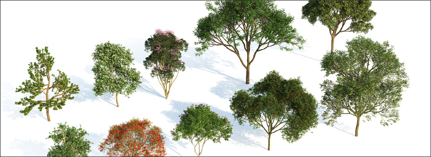 vaastu for plants