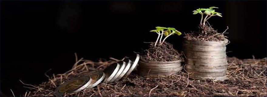 Numerology Prosperity